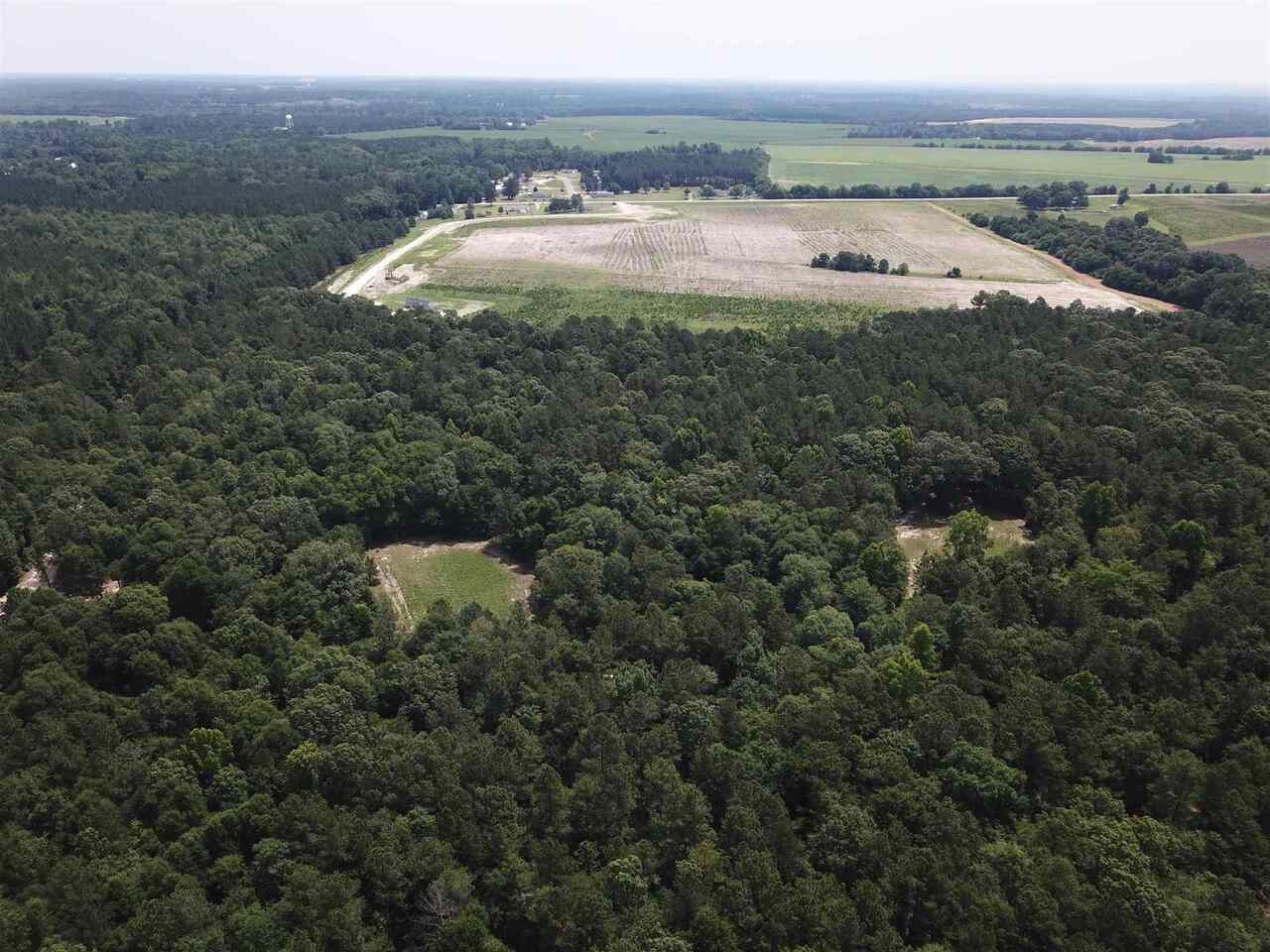 11505 Highway 296 Stapleton, GA 30823 - Photo 1 of 1