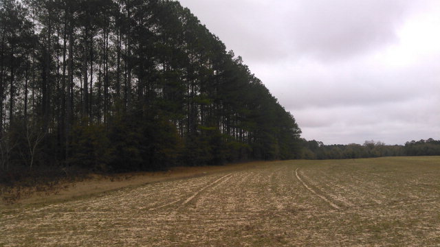 57 County Road Abbeville, AL 36310 - Photo 1 of 1