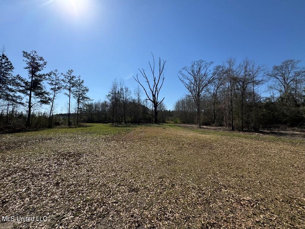 957 Jayess Road Jayess, MS 39641 - Photo 11 of 52 land-home-for-sale-lawrence-county-ms (1