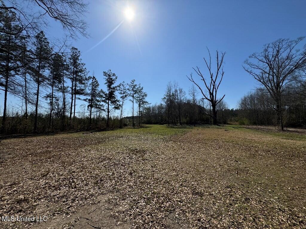 957 Jayess Road Jayess, MS 39641 - Photo 12 of 52 land-home-for-sale-lawrence-county-ms (1