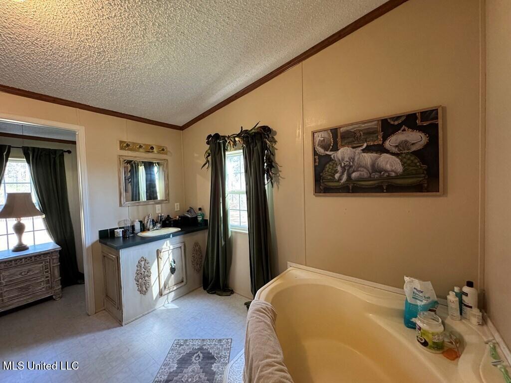 957 Jayess Road Jayess, MS 39641 - Photo 20 of 52 land-home-for-sale-lawrence-county-ms (2