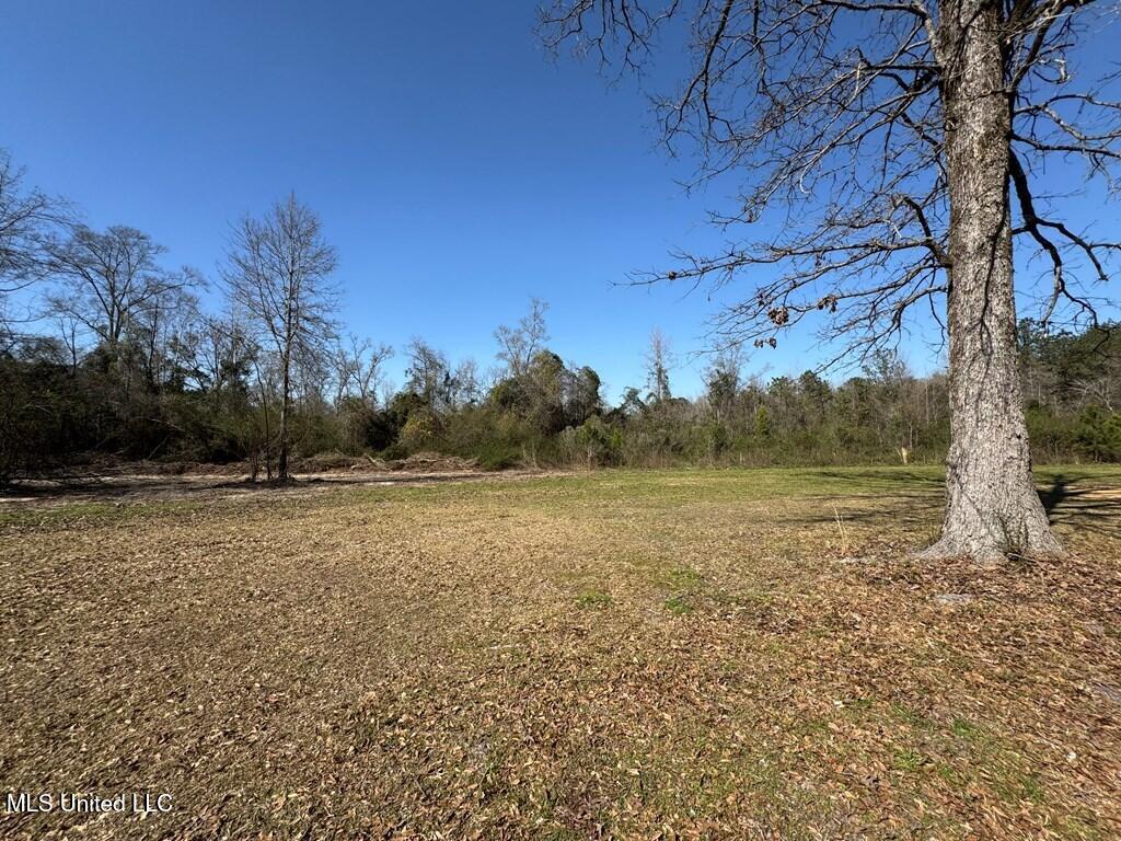 957 Jayess Road Jayess, MS 39641 - Photo 8 of 52 land-home-for-sale-lawrence-county-ms (8