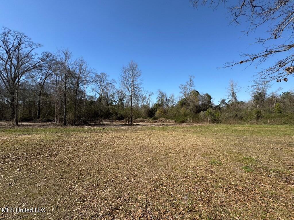 957 Jayess Road Jayess, MS 39641 - Photo 9 of 52 land-home-for-sale-lawrence-county-ms (9