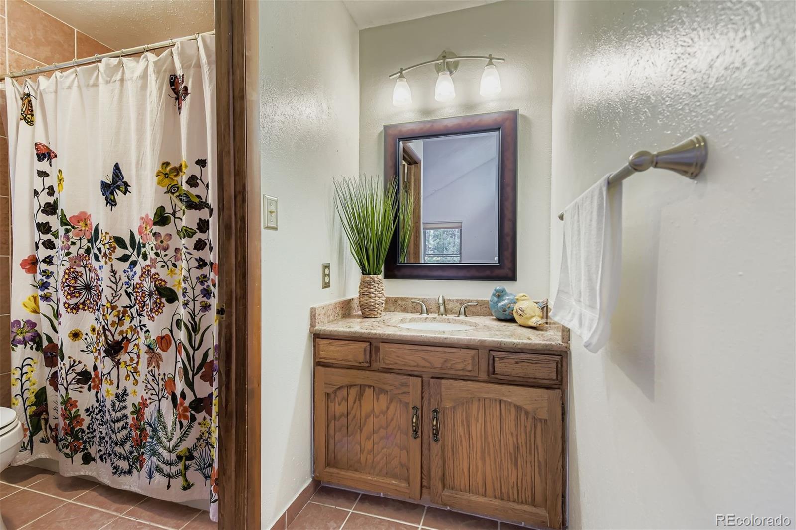 29526 Bronco Road Evergreen, CO 80439 - Photo 15 of 35