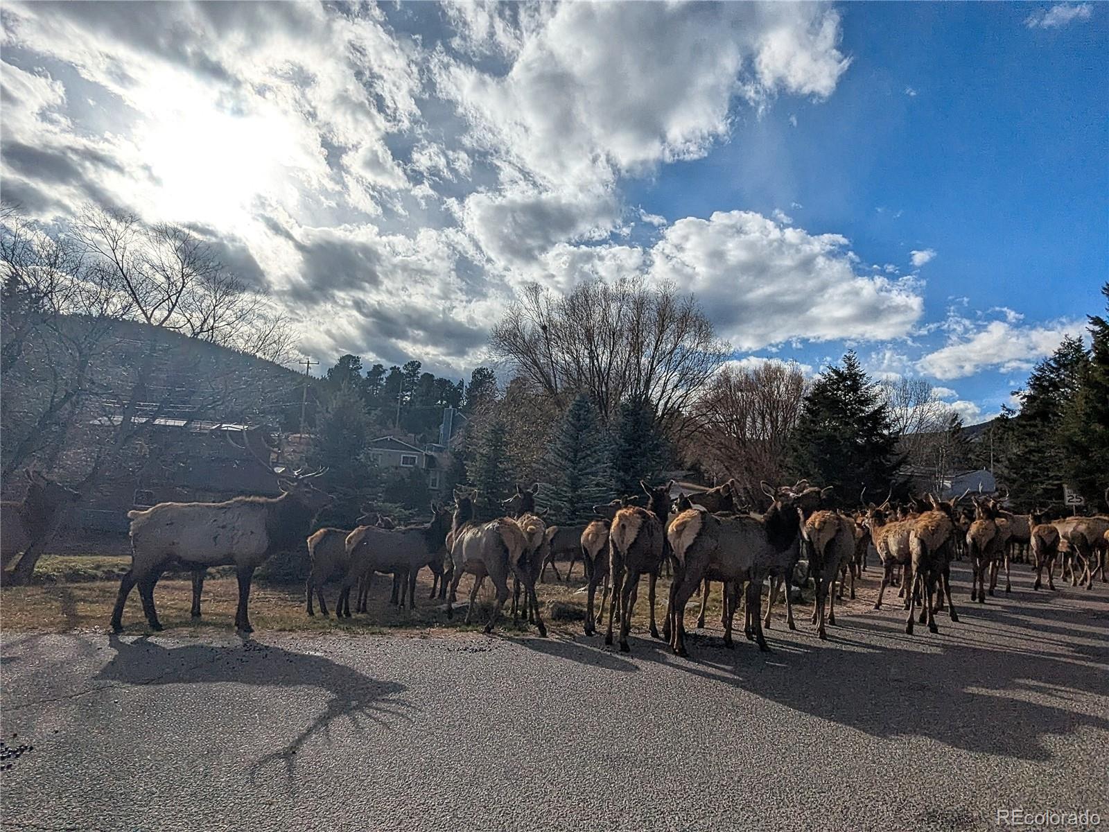 29526 Bronco Road Evergreen, CO 80439 - Photo 32 of 35