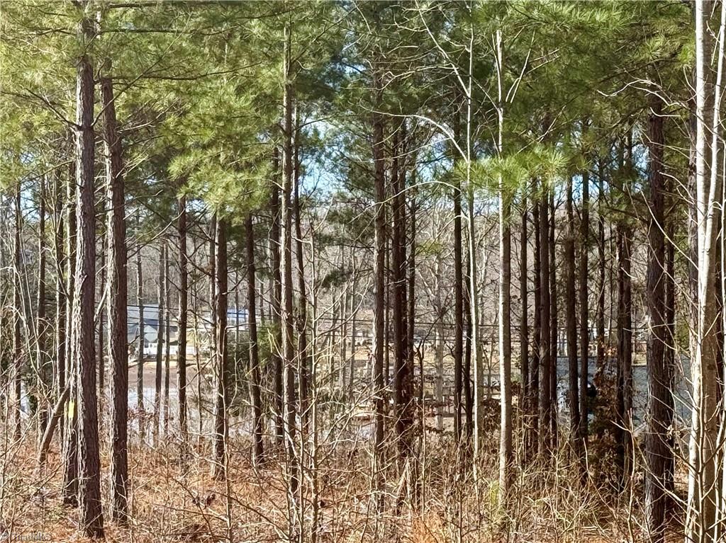 1150 Riverside Drive Lexington, NC 27292 - Photo 8 of 11 Gallery Image 8