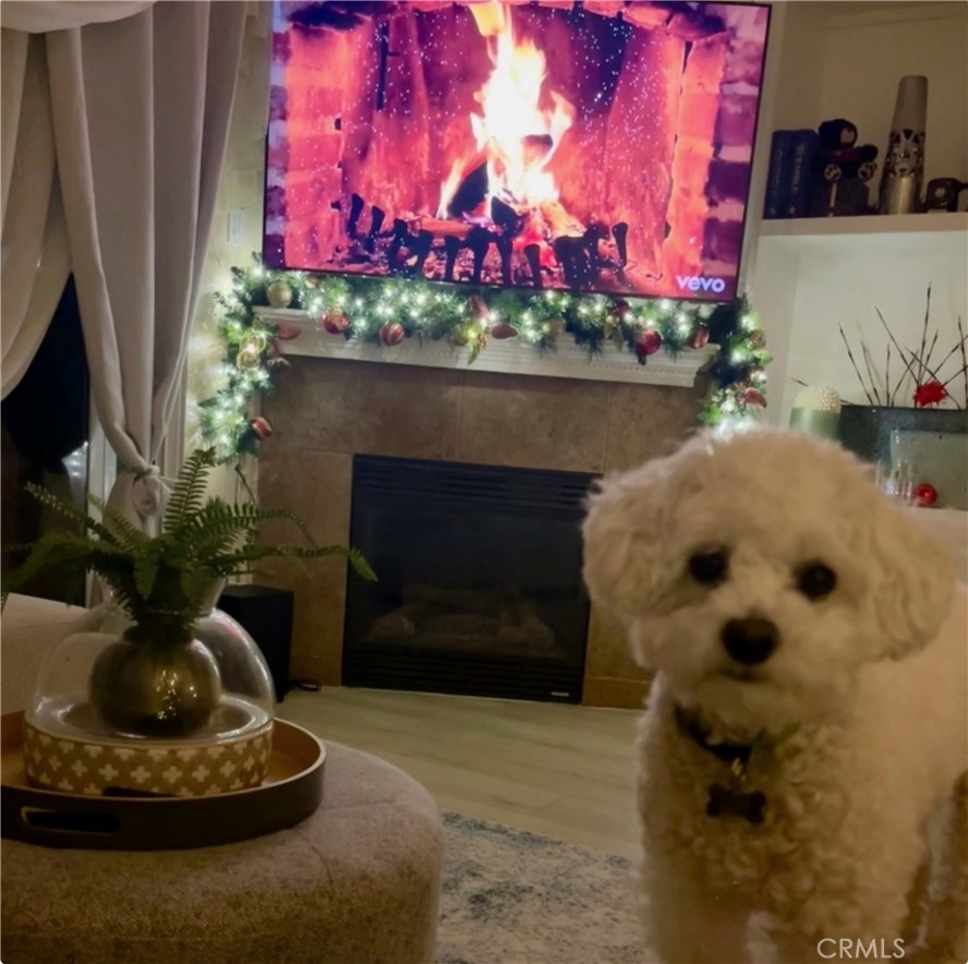 8692 East 9th Street, Unit 29 Rancho Cucamonga, CA 91730 - Photo 4 of 15 a picture of a fireplace with a potted plant and a fireplace