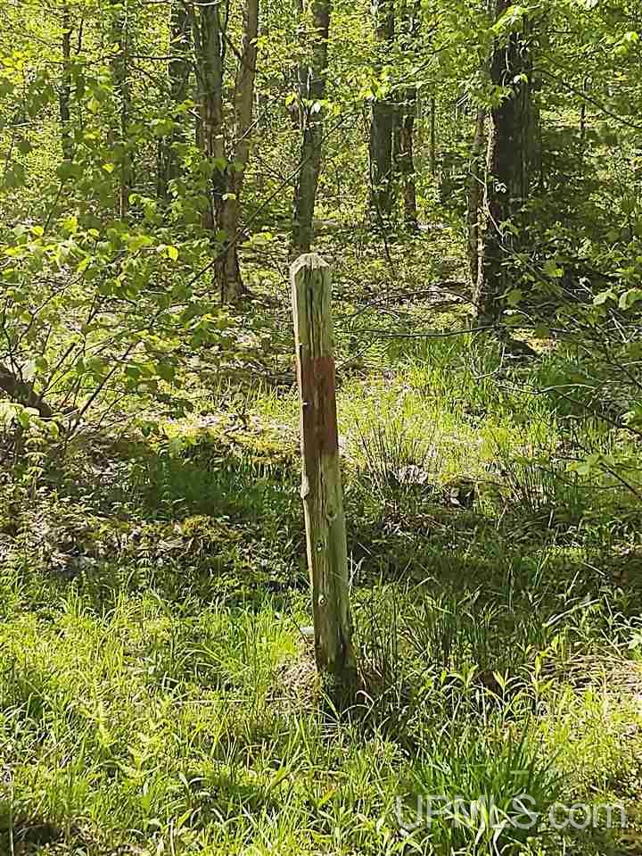 Tbd-parcel Point Abbaye Road Lanse, MI 49946 - Photo 17 of 25