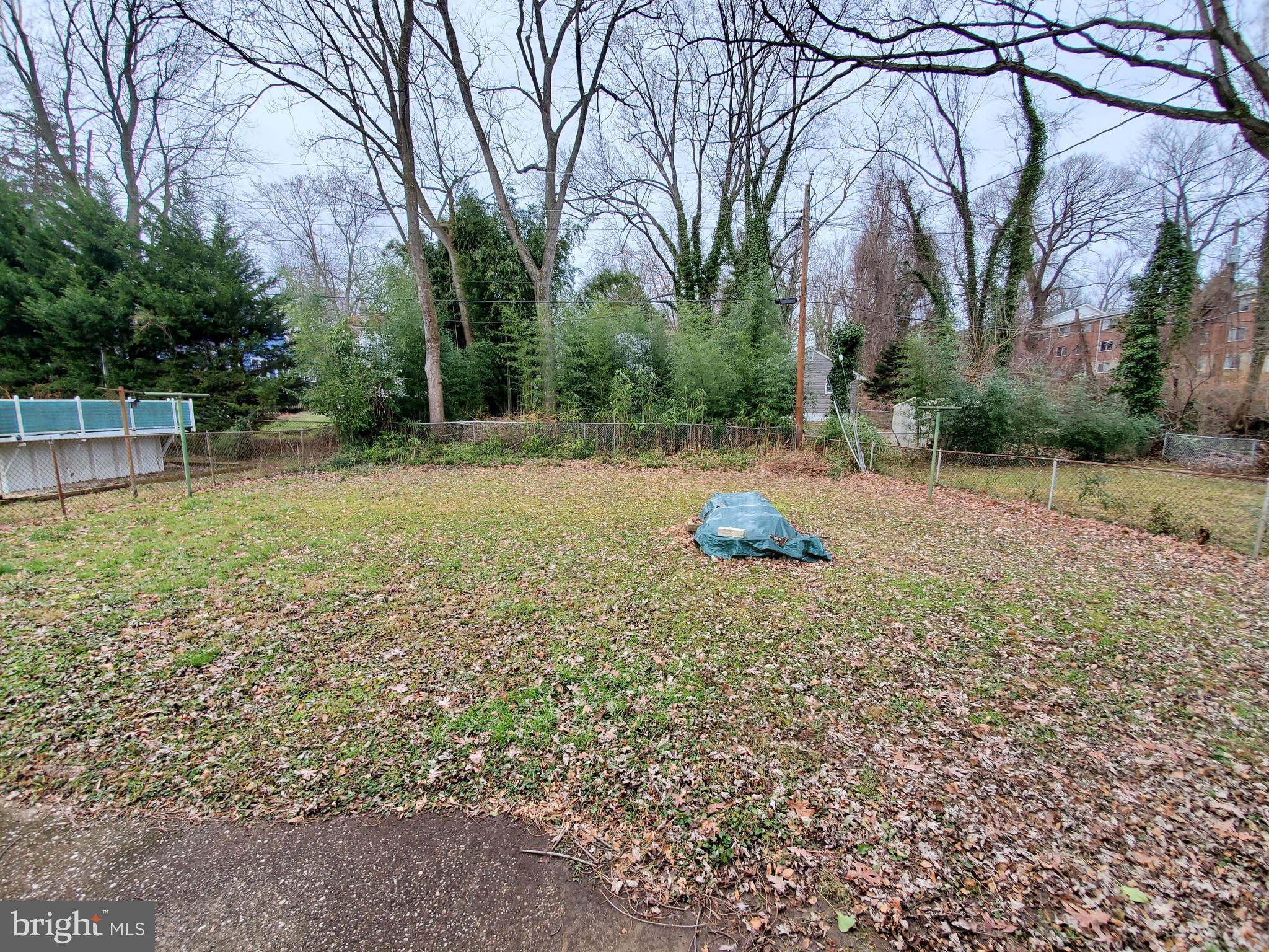 830 Cedarcroft Road Baltimore, MD 21212 - Photo 4 of 30 Backyard
