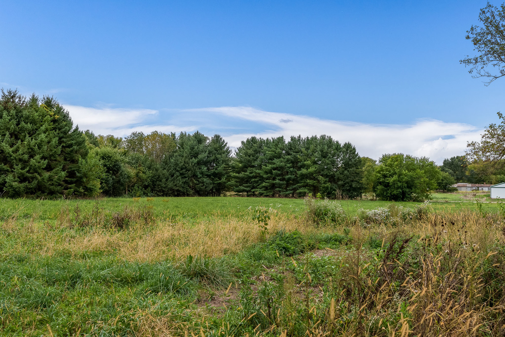14917 Perkins Road Woodstock, IL 60098 - Photo 8 of 12 Gallery Image 8