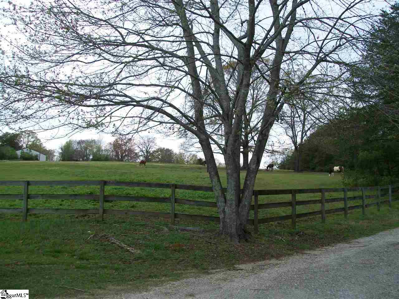 Wild Orchard Road Travelers Rest, SC 29690 - Photo 3 of 22 Gallery Image 3