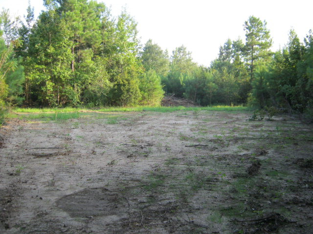 0 Vanerson Road Tylertown, MS 39667 - Photo 1 of 1 Main View