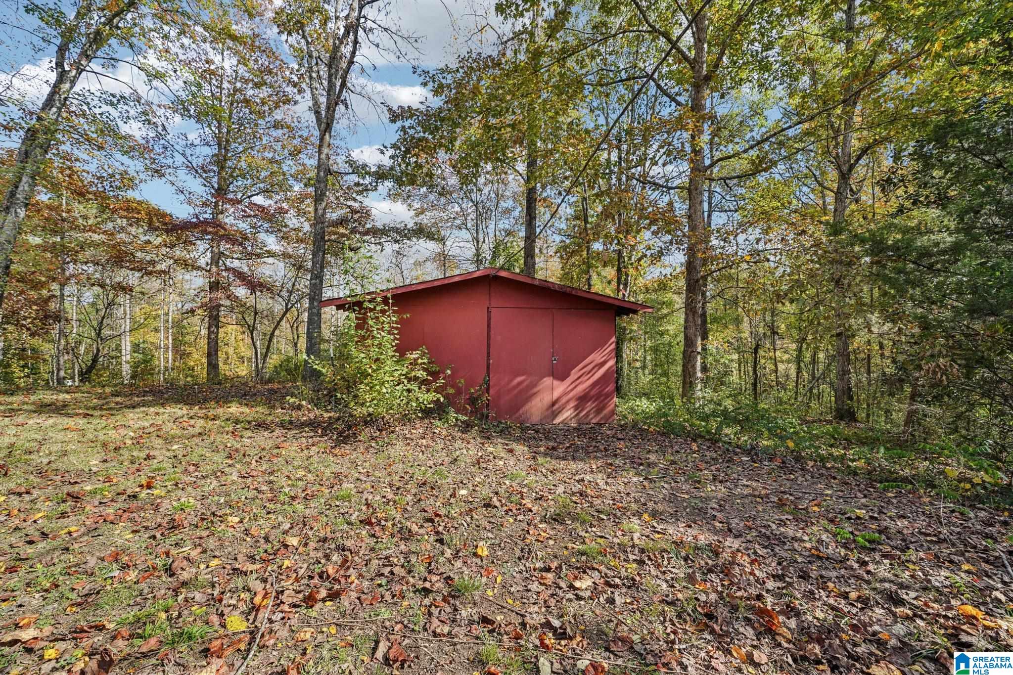 6401 Water Works Road Mount Olive, AL 35117 - Photo 42 of 46