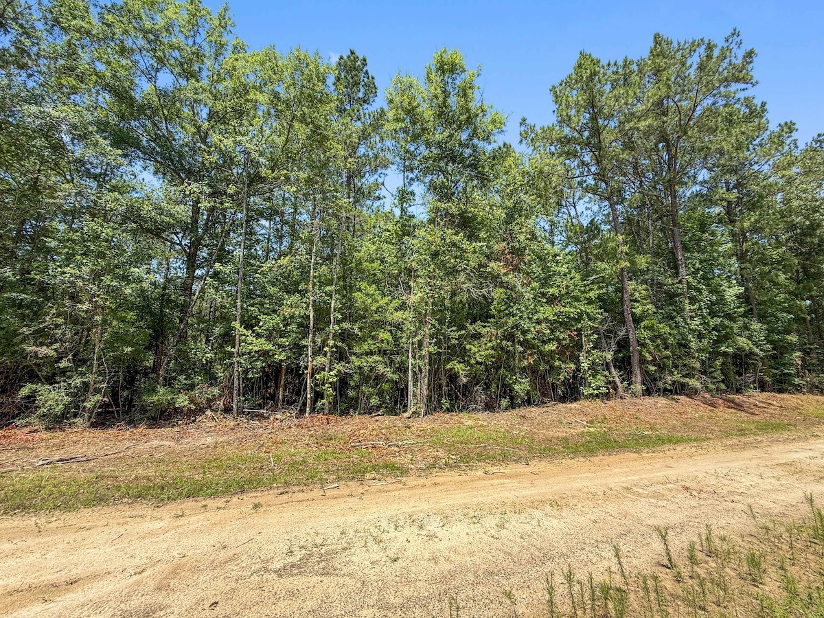 Tbd Hickman Road Burkeville, TX 75932 - Photo 21 of 45
