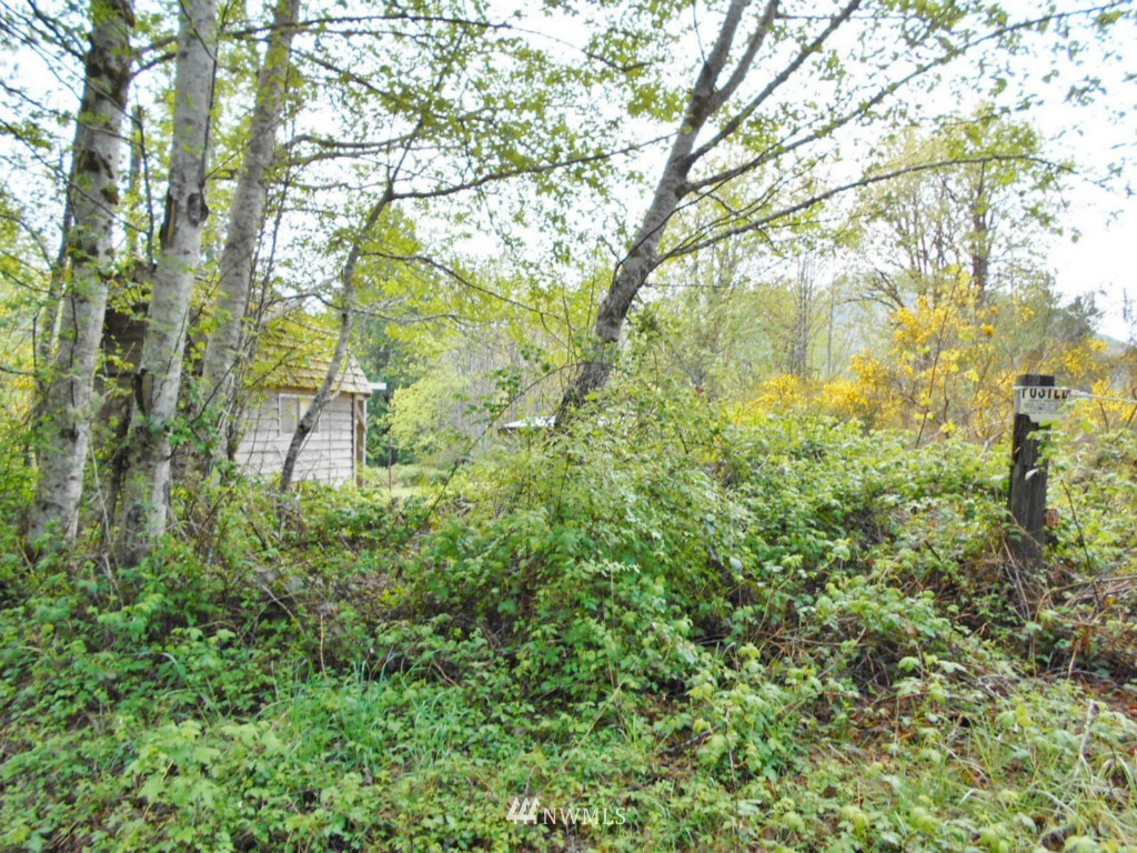 751 Dosewallips Road Brinnon, WA 98320 - Photo 12 of 12 Gallery Image 12