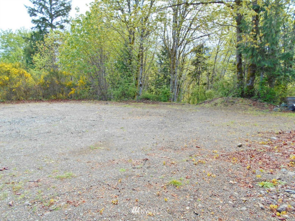 751 Dosewallips Road Brinnon, WA 98320 - Photo 6 of 12 Gallery Image 6