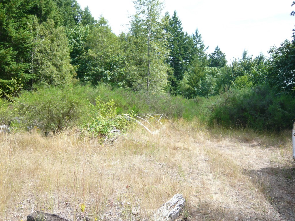 751 Dosewallips Road Brinnon, WA 98320 - Photo 8 of 12 Gallery Image 8