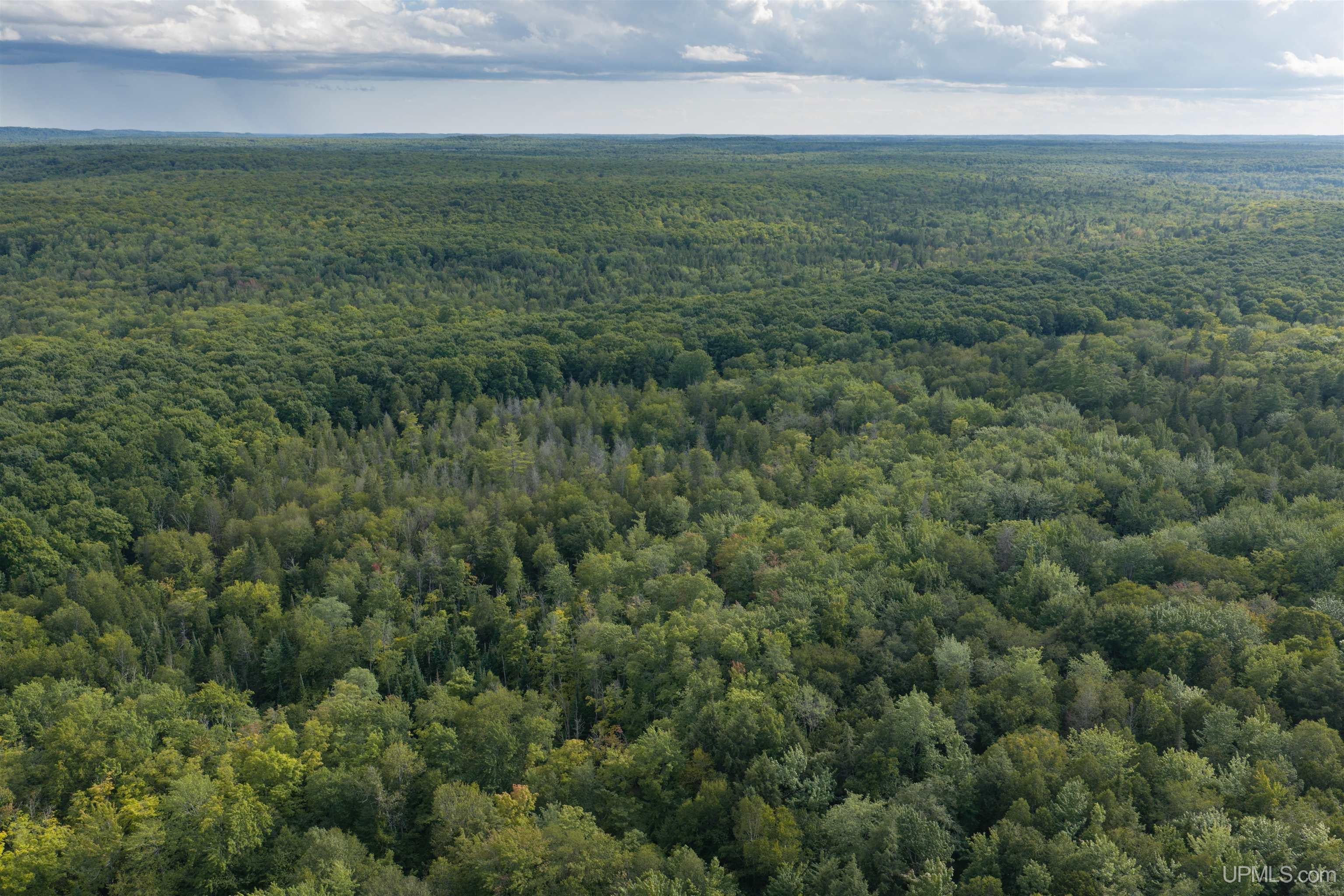 40 Acres Martin Road Au Train, MI 49806 - Photo 12 of 13 Gallery Image 12