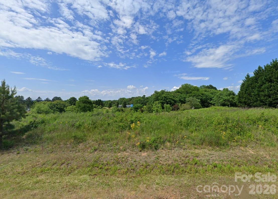 31095 Coley Farm Road Albemarle, NC 28001 - Photo 2 of 6 a view of a bunch of trees and bushes