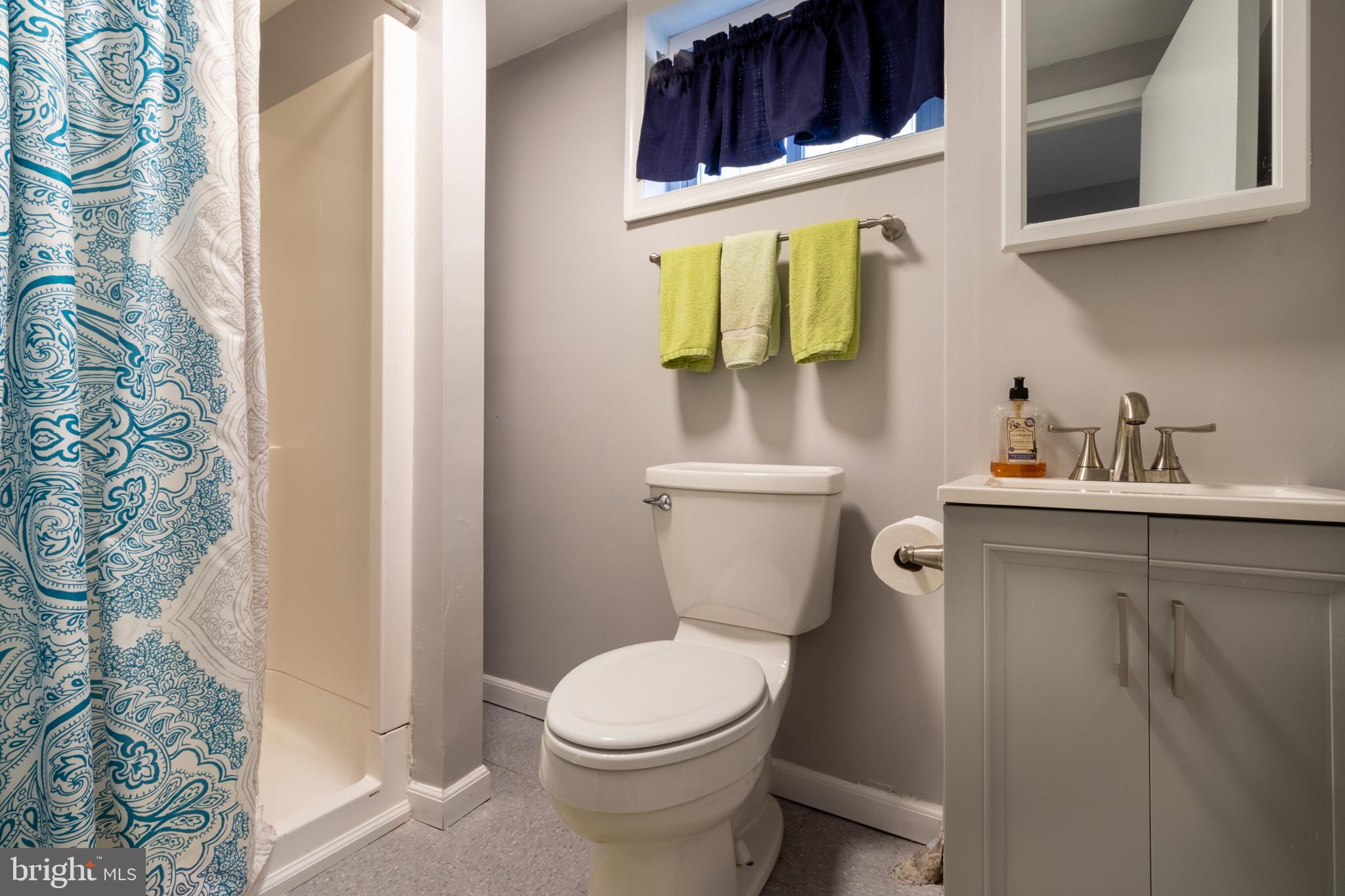 4712 Nantucket Road College Park, MD 20740 - Photo 23 of 43 Lower level full walk-in bath
