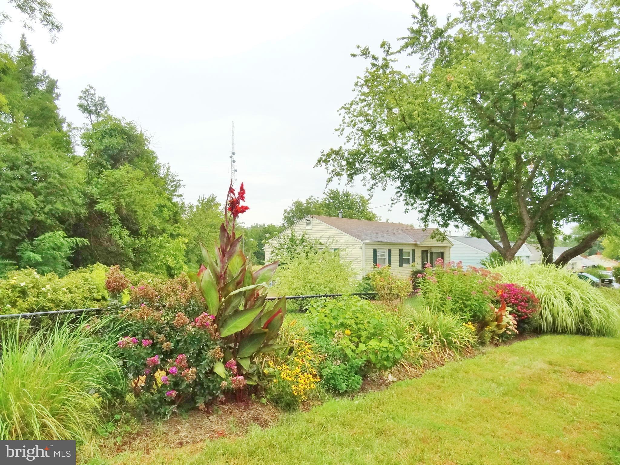 4712 Nantucket Road College Park, MD 20740 - Photo 30 of 43 Gallery Image 30