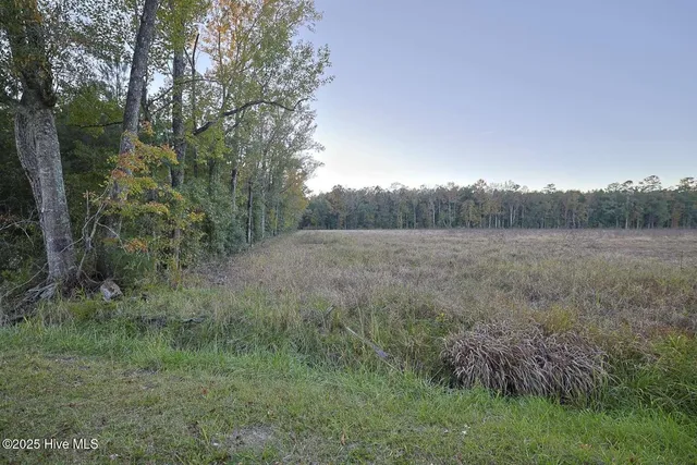 $42,000 | 1062 Creek Road, Whiteville, NC 28472