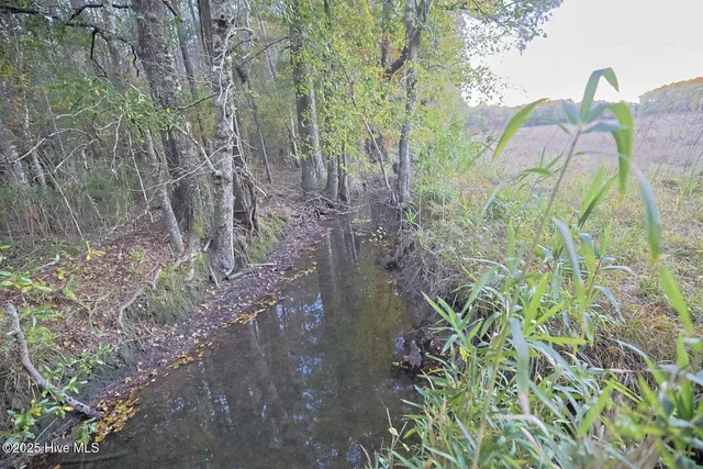 $42,000 | 1062 Creek Road, Whiteville, NC 28472