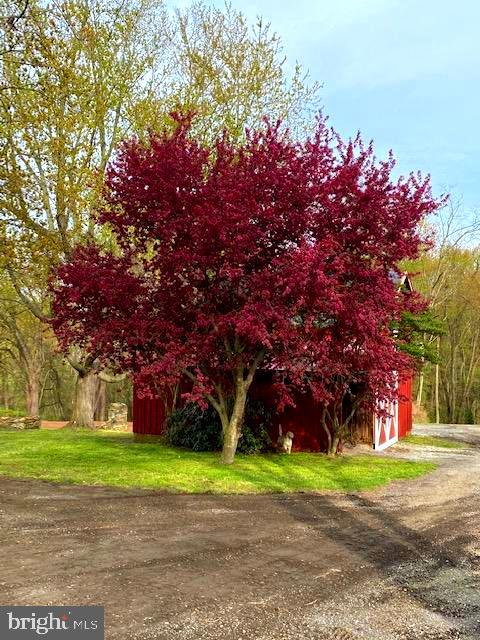 4001 Street Road Street, MD 21154 - Photo 41 of 42 Mature trees, landscaping.