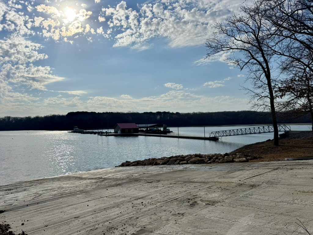 44 Antioch Cove Road Springville, TN 38256 - Photo 2 of 24