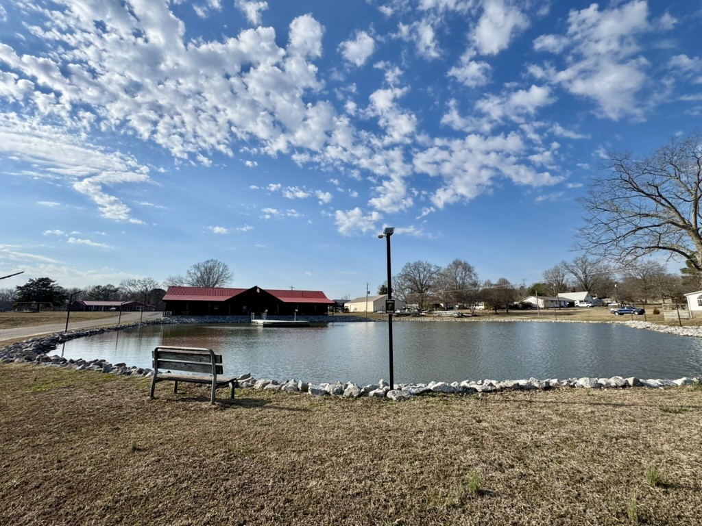 44 Antioch Cove Road Springville, TN 38256 - Photo 23 of 24