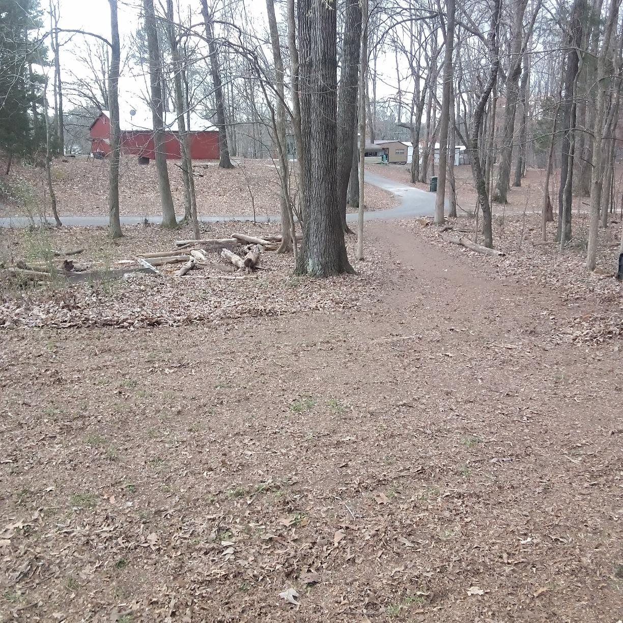 44 Antioch Cove Road Springville, TN 38256 - Photo 8 of 24