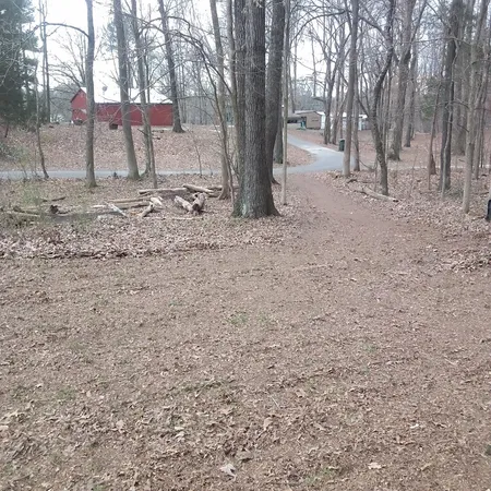 $200,000 | 44 Antioch Cove Road, Springville, TN 38256