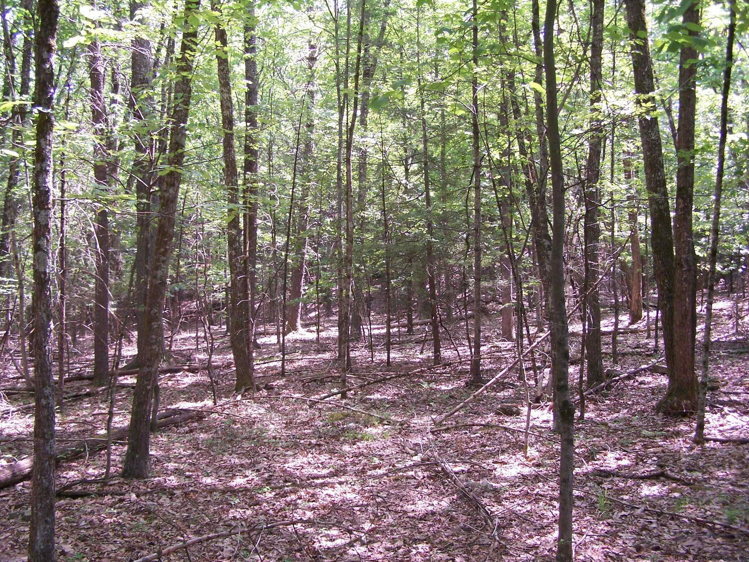 Tbd Samsonville Road Kerhonkson, NY 12446 - Photo 1 of 19 Photo 1