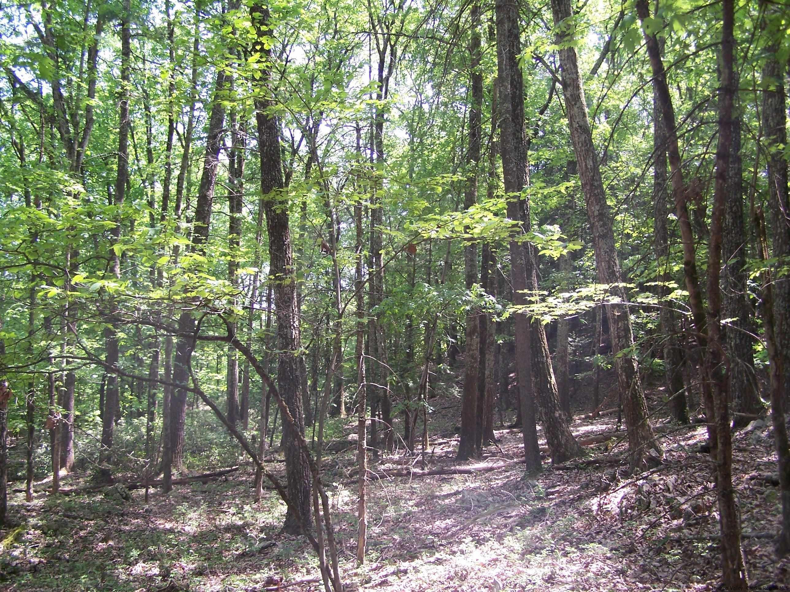 Tbd Samsonville Road Kerhonkson, NY 12446 - Photo 4 of 19 Photo 4
