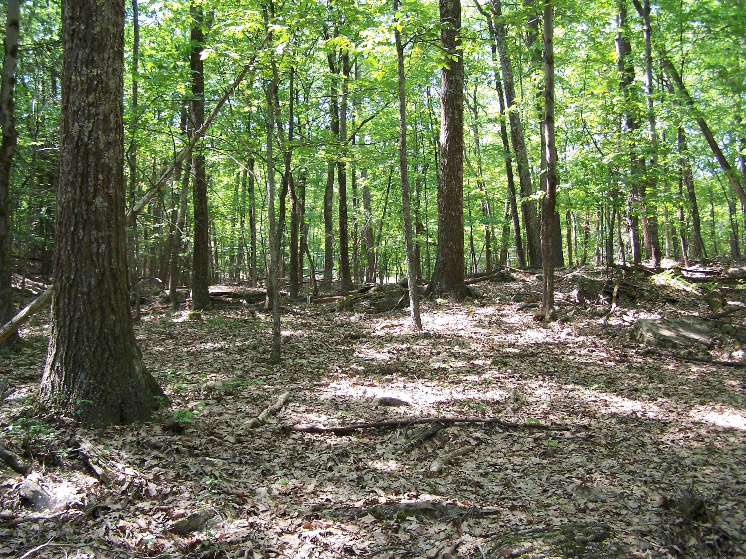 Tbd Samsonville Road Kerhonkson, NY 12446 - Photo 8 of 19 Photo 8