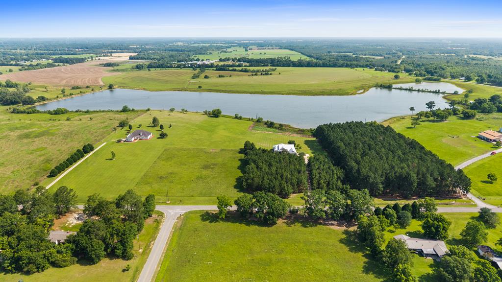 971 Edsel Deese Road Ashford, AL 36312 - Photo 59 of 67
