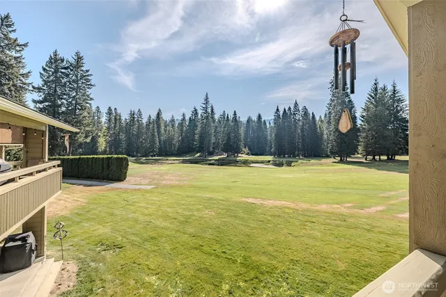 a view of a swimming pool with a patio and a yard