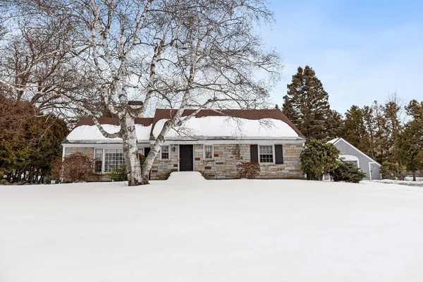 a large house with a large tree in front of it