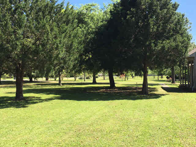 14967 Daugherty Road Foley, AL 36535 - Photo 9 of 47