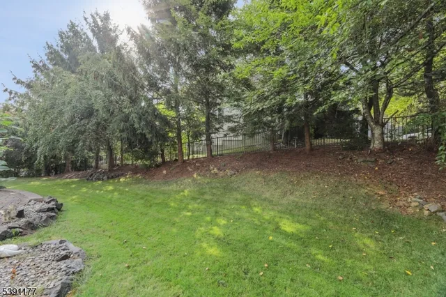 a view of a backyard with a trees