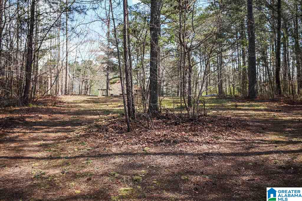 445 Myrick Road Warrior, AL 35180 - Photo 49 of 50