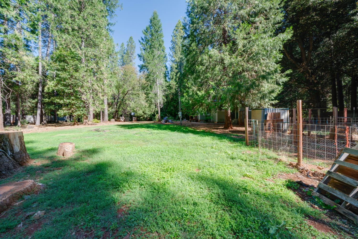 18249 Challenge Cutoff Road Forbestown, CA 95941 - Photo 18 of 50 Gallery Image 18