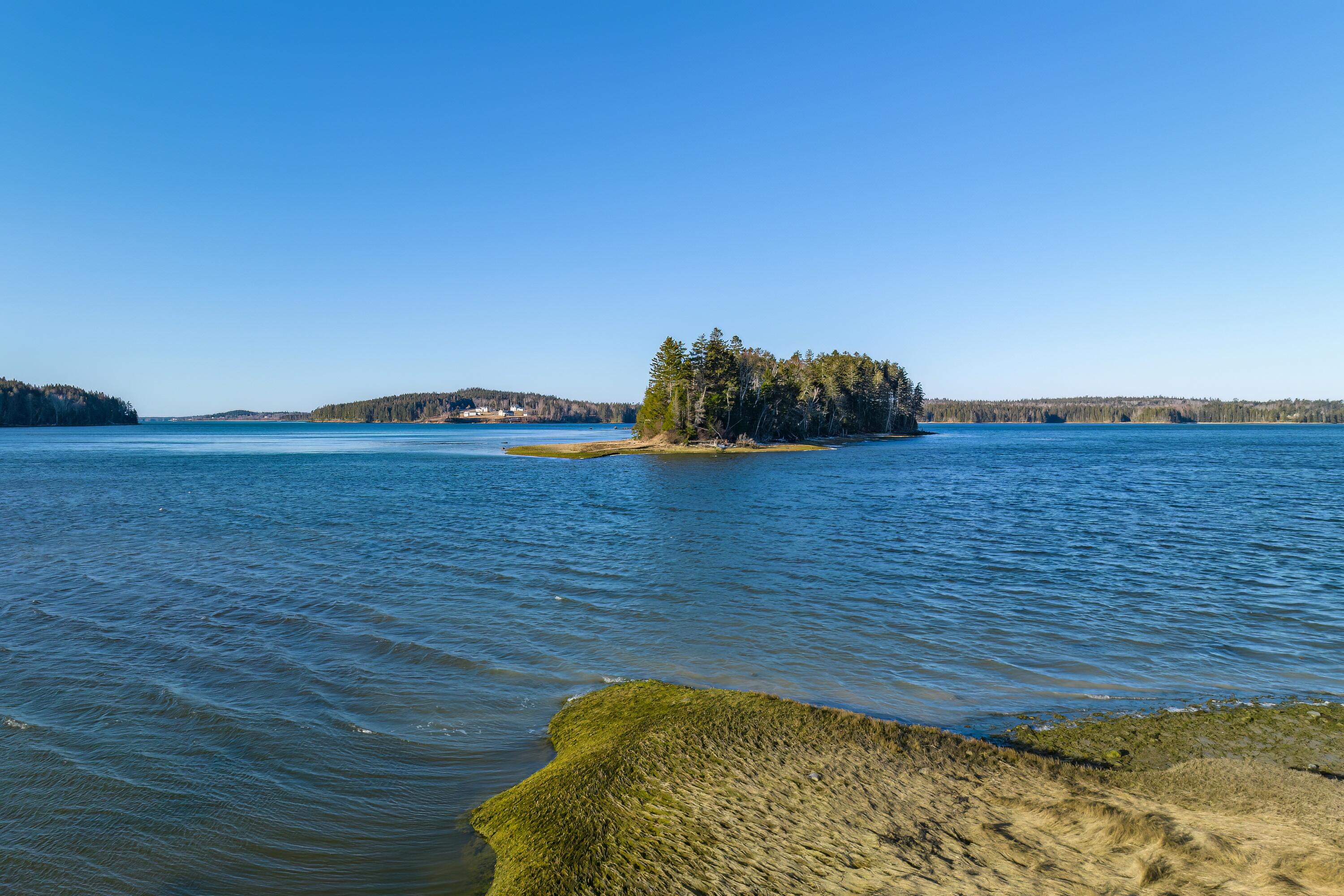 Lot 76-77 Nepp Point Road Roque Bluffs, ME 04654 - Photo 28 of 42 31-Nepp Point Land-DTP