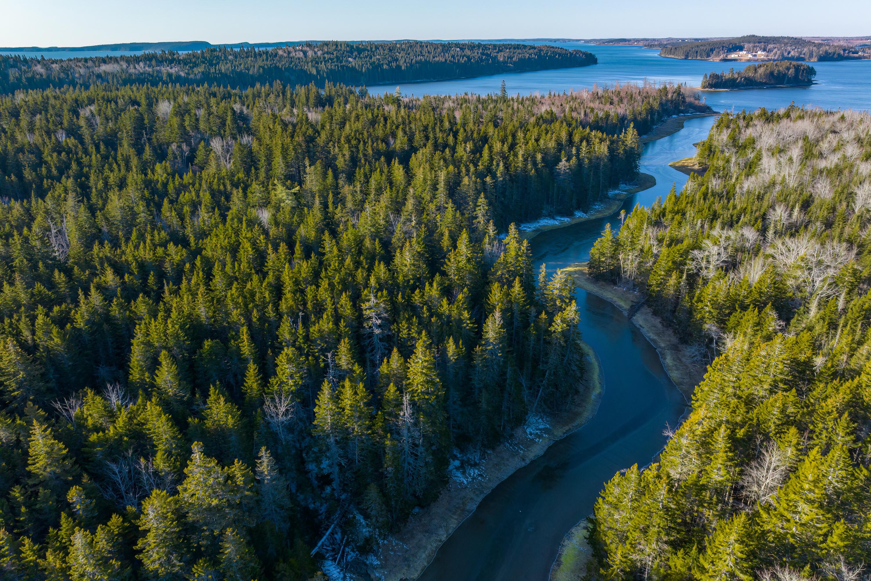 Lot 76-77 Nepp Point Road Roque Bluffs, ME 04654 - Photo 32 of 42 35-Nepp Point Land-DTP