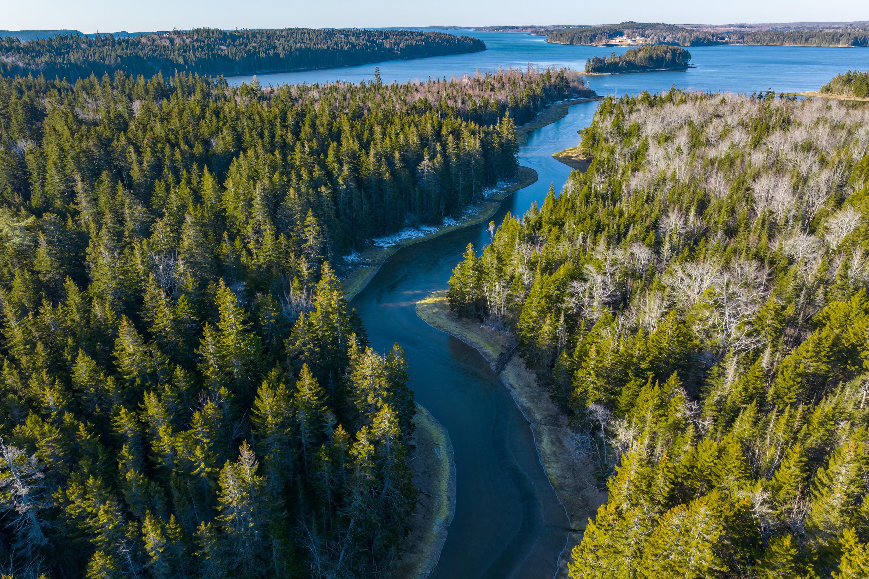 Lot 76-77 Nepp Point Road Roque Bluffs, ME 04654 - Photo 33 of 42 36-Nepp Point Land-DTP