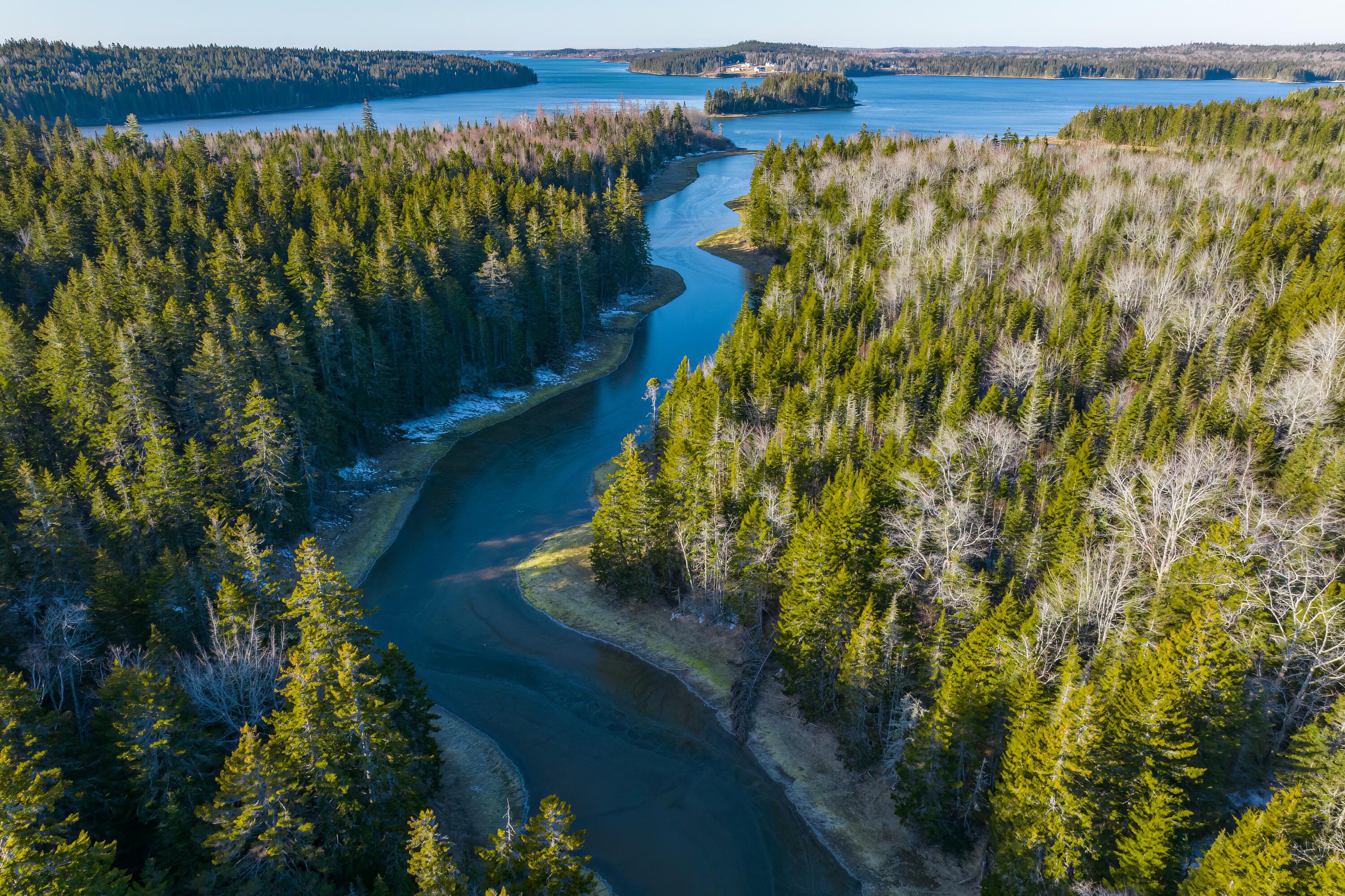 Lot 76-77 Nepp Point Road Roque Bluffs, ME 04654 - Photo 34 of 42 37-Nepp Point Land-DTP