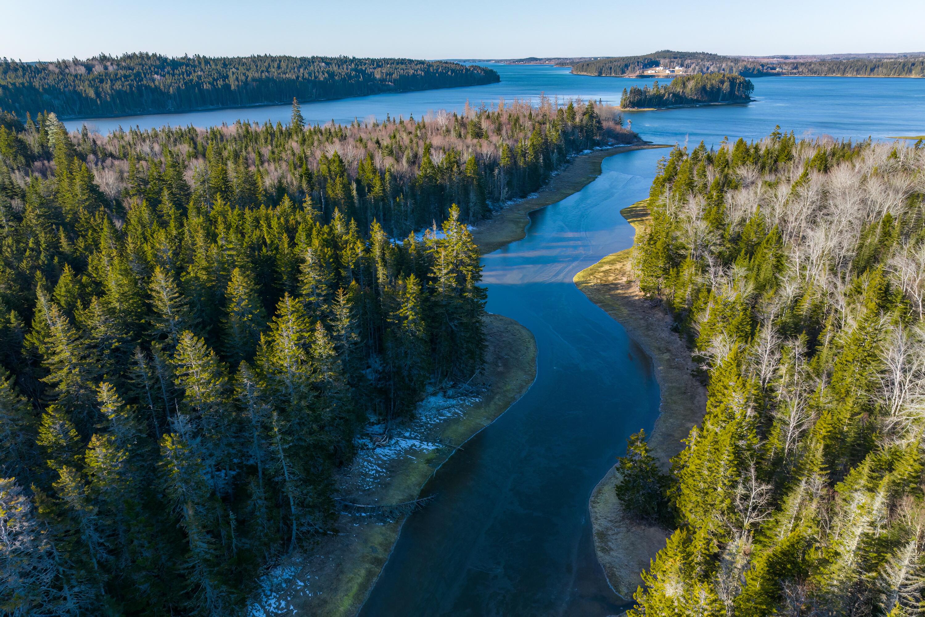 Lot 76-77 Nepp Point Road Roque Bluffs, ME 04654 - Photo 36 of 42 39-Nepp Point Land-DTP