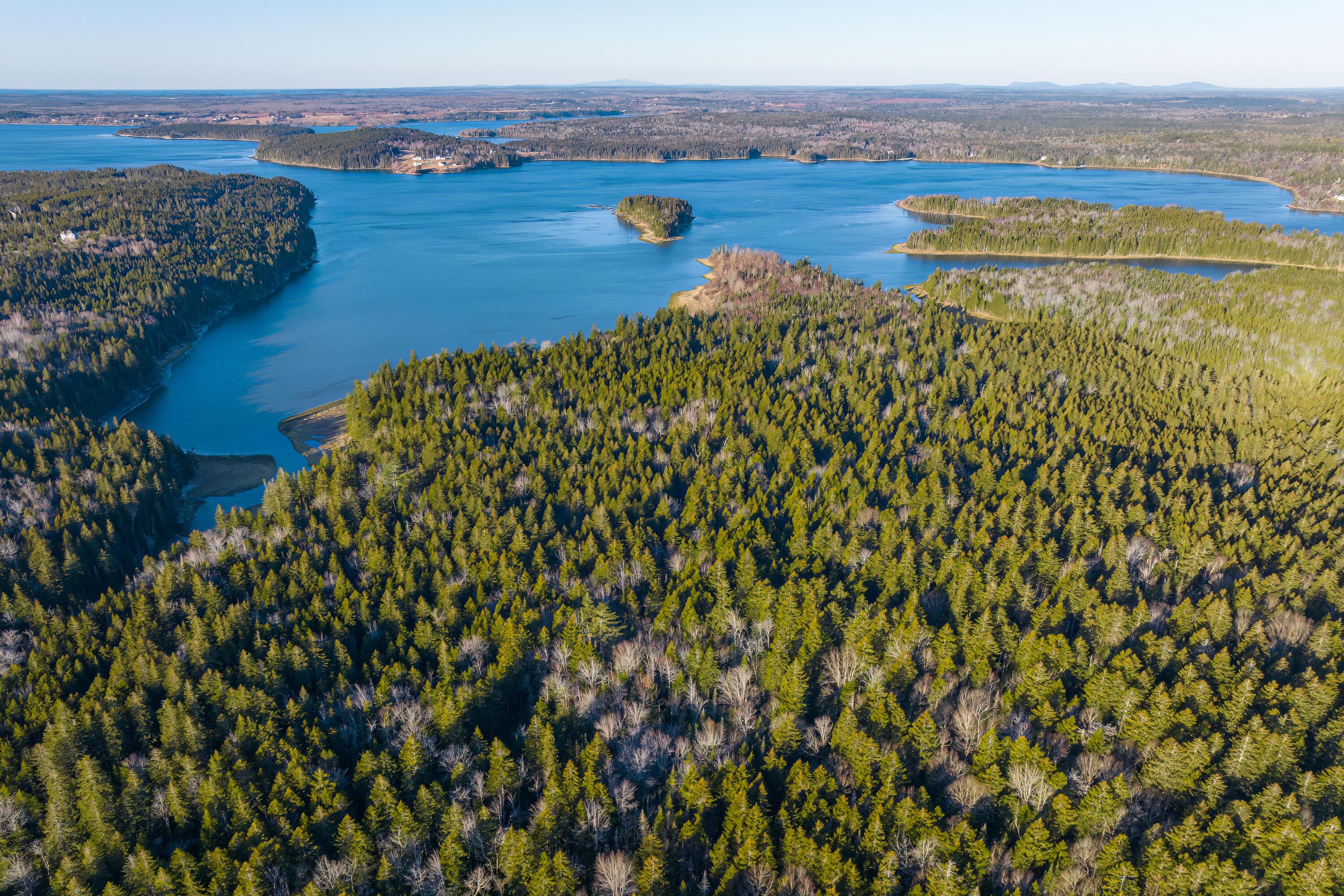 Lot 76-77 Nepp Point Road Roque Bluffs, ME 04654 - Photo 8 of 42 4-Nepp Point Land-DTP