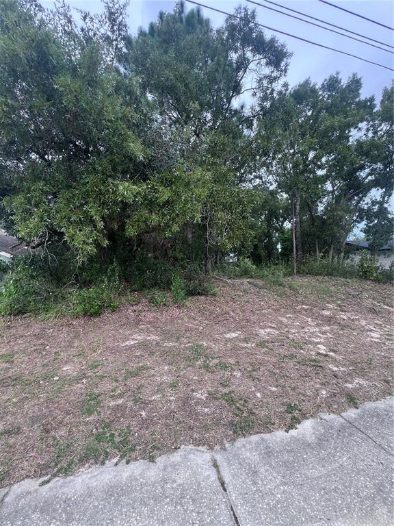 2469 Mariner Boulevard Spring Hill, FL 34608 - Photo 11 of 15 a view of a field with trees in background