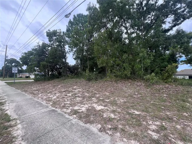 a view of outdoor space with trees